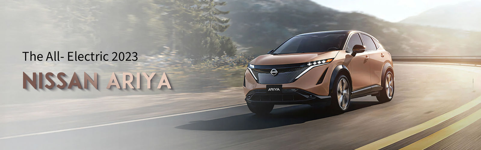 qualité Voiture électrique Dongfeng usine