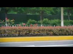 Dfs 5 portes 5 sièges électrique SUV Honda ns1 Nouvelles voitures électriques Volant à gauche FWD Voiture électrique EV Voiture